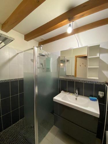 une salle de bain avec un lavabo et une douche dans l'établissement Gite de charme au coeur de la forêt, à Saint-Mars-dʼOutillé