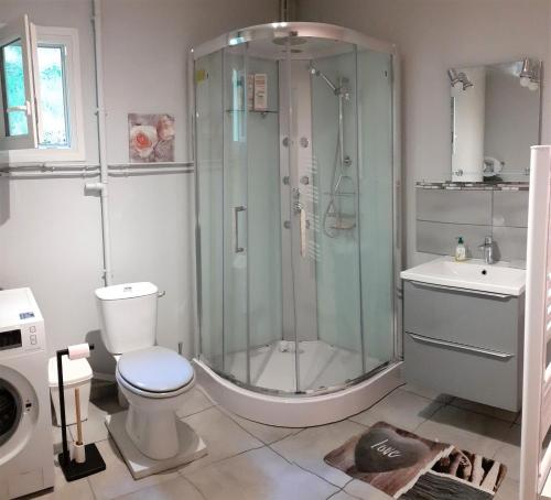 La salle de bains est pourvue d'une douche, de toilettes et d'un lavabo. dans l'établissement Gîte nature détente pêche baignade dans lac privé, à Saint-Martin-des-Combes