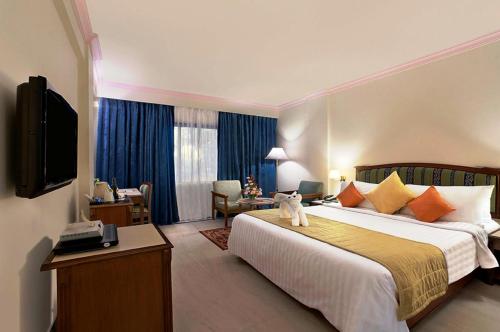 Habitación de hotel con cama y TV en Radha Regent, Chennai, en Chennai
