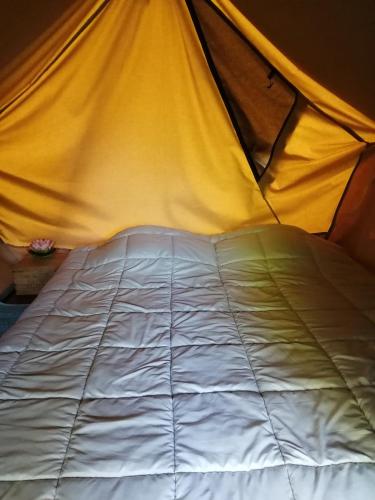 Le lodge de la Redoute – Photos 4