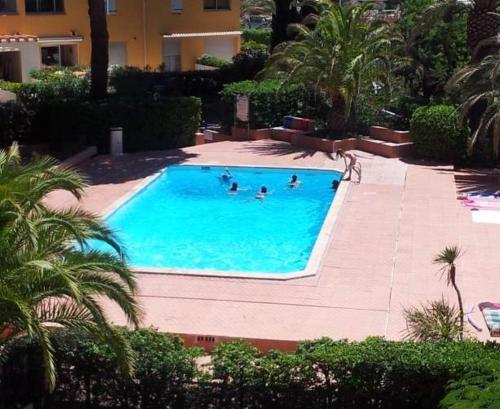 un groupe de personnes nageant dans une piscine dans l'établissement Appartement 2 pièces Cap d'Agde, au Cap d'Agde