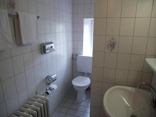 a small bathroom with a toilet and a sink at Hotel am Ceresplatz in Manderscheid