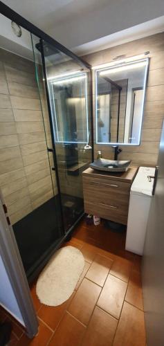 a bathroom with a shower and a sink and a mirror at Zen et Mer in Le Grau-du-Roi