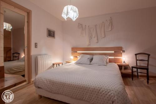 a bedroom with a large bed and a mirror at Gite urbain AU 2BIS - Annecy in Annecy