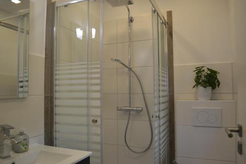 a shower in a bathroom with a glass shower stall at Apartment mit Terrasse und eigenem Eingang in Radevormwald