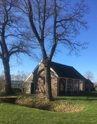 a house with a tree in front of it at Koetshuis in Veenhuizen
