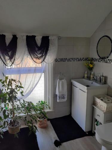 a bathroom with a sink and a window with plants at The Holly & Ivy in Bridlington