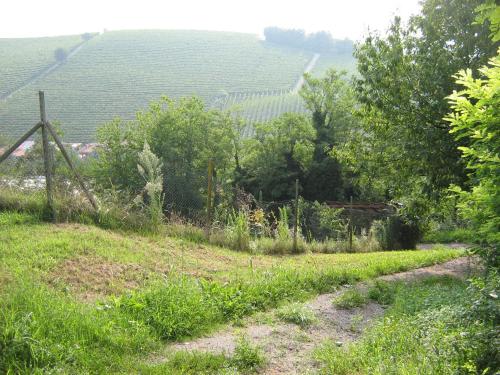 a view of a field with a fence and trees at Il Borgo B&B in Castellinaldo