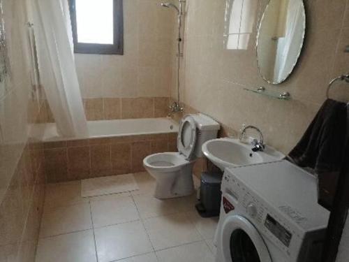 y baño con aseo y lavamanos. en Stavros Agios Dimitrianos Village House, en Ayios Dhimitrianos