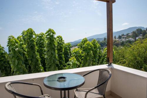 a table and two chairs on a balcony with a vineyard at Aelia Mount Suites in Zagora