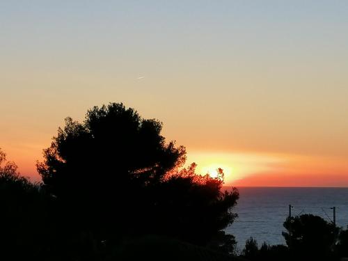 Photo de la galerie de l'établissement Sanary les gorguettes, studio avec terrasse vue mer, à 10 min à pieds de la plage, à Sanary-sur-Mer