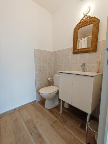 une salle de bain avec toilettes, lavabo et miroir dans l'établissement Casa Flamingo - Appartement calme et moderne - 4 -, à Canet