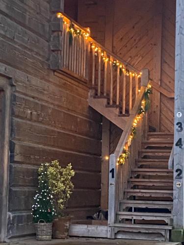 a staircase with lights on the side of a building at Pandy B&B in Dorstone