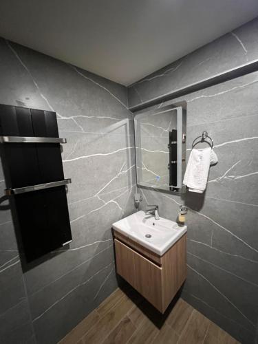 a bathroom with a sink and a mirror at PresidentKop LUX Wellness & SPA Apartments in Kopaonik