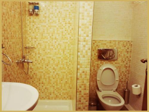a bathroom with a toilet and a sink at Kala Nera Panorama in Kala Nera