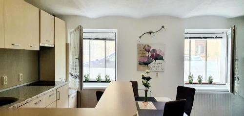 kuchnia ze stołem i krzesłami oraz 2 oknami w obiekcie Castelului 2 w Braszowie
