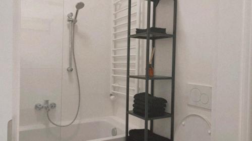 a bathroom with a shower and a toilet and a shower at Apartment 3.0 in Vordernberg