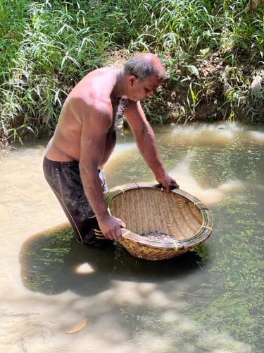 a man in the water with a basket in the water at Summer Ridge - Homestay in Ratnapura