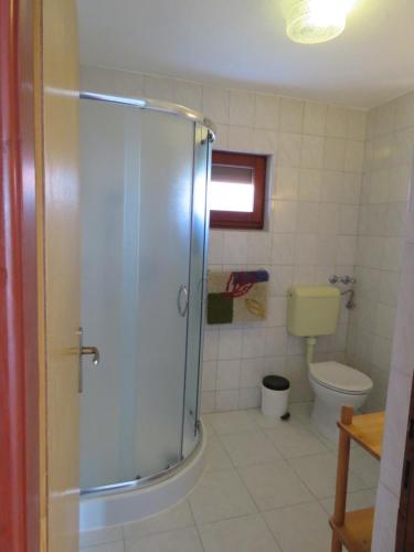 a bathroom with a shower and a toilet at Apartman Vir Gogo br 5 in Vir