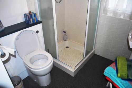 a bathroom with a shower with a toilet and a sink at Crepigill Cottage in Portree