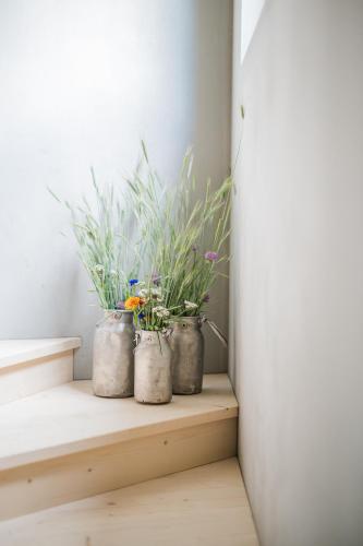 three potted plants sitting on a window sill at Koasa-Hof Ganzes Ferienhaus und Sauna 5 Zimmer 240mq in Cadipietra