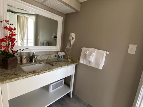 1726 Ocean View Galore Pet Friendly photo 31
