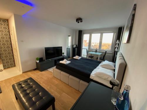 a room with a bed and a couch and a tv at Best View Apartment in Toruń