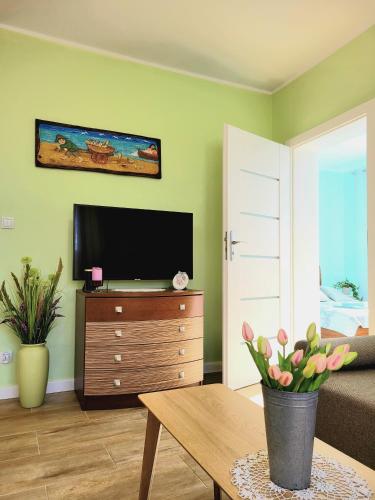 Μια τηλεόραση ή/και κέντρο ψυχαγωγίας στο Apartament Laurowy
