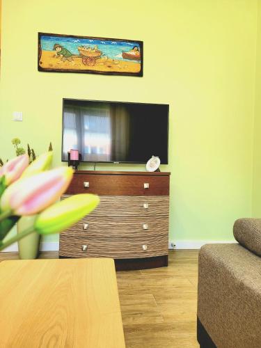 Μια τηλεόραση ή/και κέντρο ψυχαγωγίας στο Apartament Laurowy