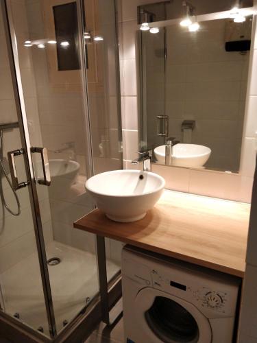 une salle de bain avec un lavabo et une machine à laver dans l'établissement Studio Lou Cigaloun climatisé, à Gréoux-les-Bains