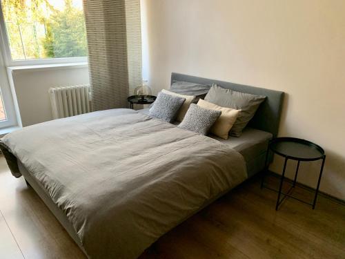 ルハチョヴィツェにあるApartmán Luhačoviceのベッドルーム1室(大型ベッド1台、枕付)、窓が備わります。