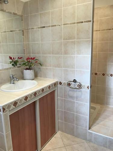 une salle de bain avec un lavabo et une douche dans l'établissement 130m2 qui surplombe la baie de Calvi vue citadelle, à Calvi