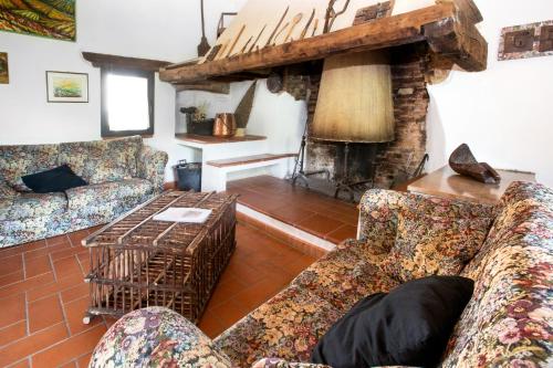 a living room with two couches and a fireplace at Podere Il Tigliolo in Castiglione dʼOrcia