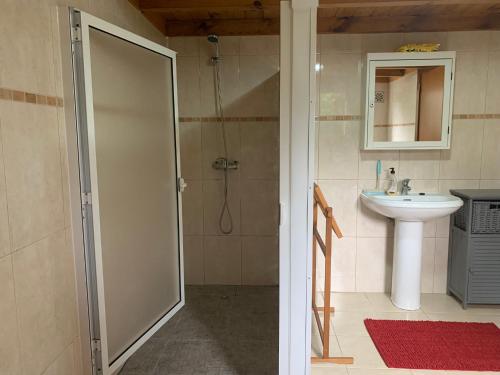 een badkamer met een douche en een wastafel bij Casa Agostinho - with private pool near Coimbra 