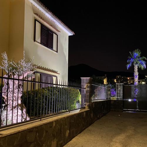 a house with a fence and a palm tree at night at Villa Manzo relais -Pompei Vesuvius in Boscotrecase