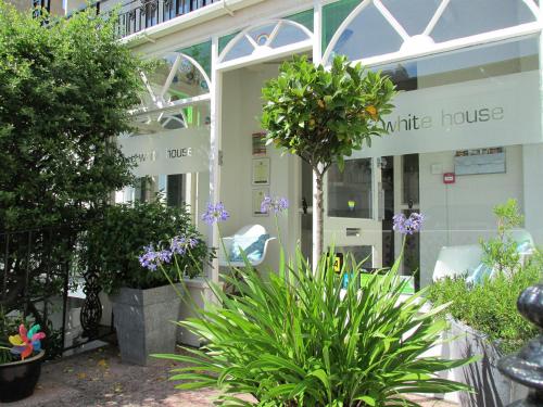 a white house with plants in front of it at The White House in Brighton & Hove
