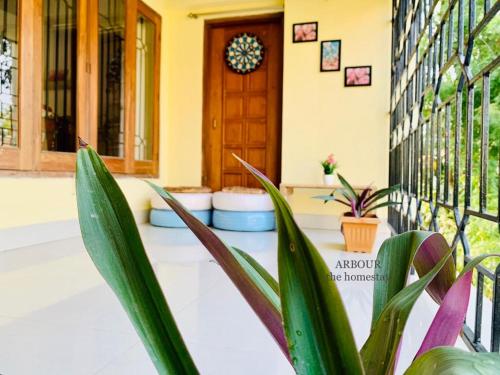 Gallery image of ARBOUR The Homestay in Guwahati