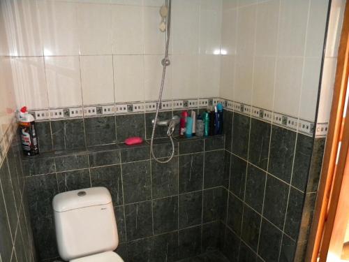 a bathroom with a shower with a toilet in it at Guest House Dacha in Kyiv