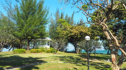 a beach with a tree and some palm trees at Supatra Hua Hin Resort in Hua Hin