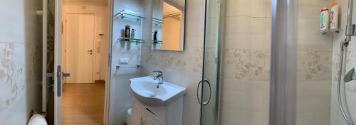 La salle de bains est pourvue d'une douche et d'un lavabo. dans l'établissement La Casetta di Ely, à Rome