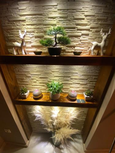 a shelf with potted plants and animals on it at Zengő Kincse SPA Vendégház Hosszúhetény in Hosszúhétény
