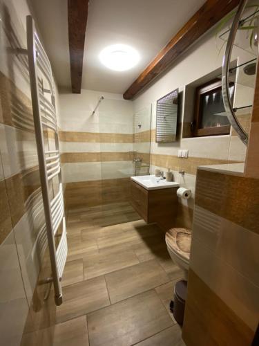a bathroom with a sink and a toilet at Zengő Kincse SPA Vendégház Hosszúhetény in Hosszúhétény