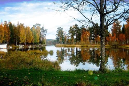 a lake in the middle of a field with trees at Romantic Cabin right on the lake with fire place in Stjärnsund