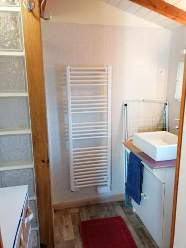 une petite salle de bain avec un lavabo et une douche dans l'établissement Gîte La Bodib, à Fabras