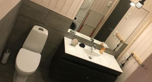Um banheiro em Venehovda - cabin at 1000 masl