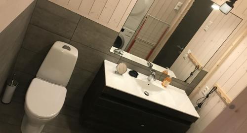 un bagno con un water, un lavandino e uno specchio di Venehovda - cabin at 1000 masl ad Ål