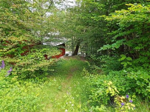 un camino a través de un bosque con flores y árboles en 7 person holiday home in R KE, en Röke