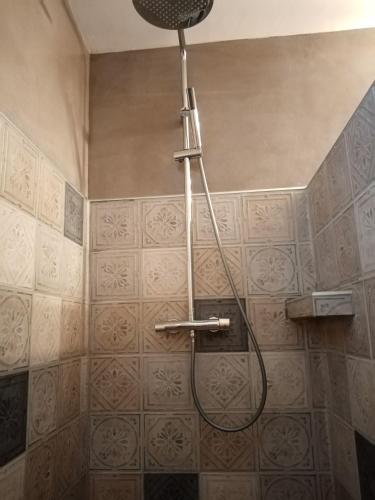 une douche dans une salle de bain avec une pomme de douche dans l'établissement Au Coeur du Luberon, à Cavaillon