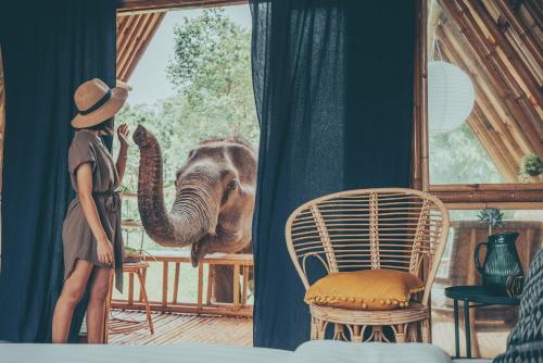 Eine Frau steht in einem Raum mit einem Elefanten aus dem Fenster in der Unterkunft Chai Lai Orchid in Chiang Mai