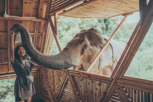 Ein Elefant steht neben einer Frau mit dem Kofferraum. in der Unterkunft Chai Lai Orchid in Chiang Mai